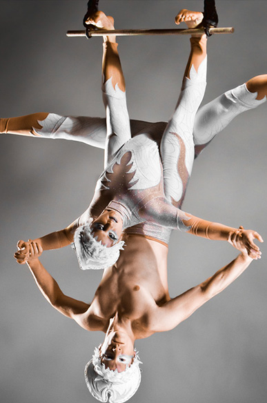 Aerial & Trapeze Artists